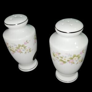 Treasure Chest Lenore Salt & Pepper Shakers Floral Japan Porcelain Silver Trim